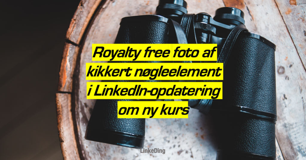Ansvaret med at sikre virksomheds nye kurs faldt på business developer, der var en tur på internettet for at finde løsningen