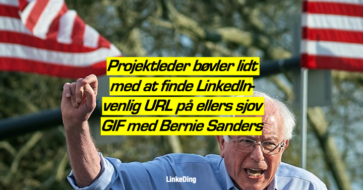 Bernie Sanders har lagt internettet ned, men mange brugere har det netop nu lidt svært ved at bruge ham til at få likes på LinkedIn-profilen.